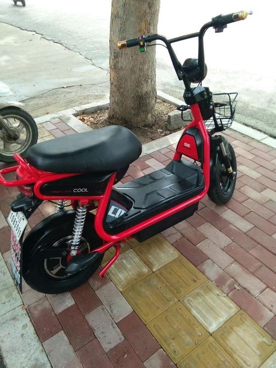 小鸟 爱玛 雅迪  新日 电动车低价出售 ...