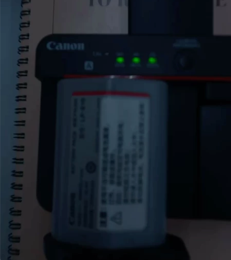 佳能LC-E19 原装充电器，功能正常两个...