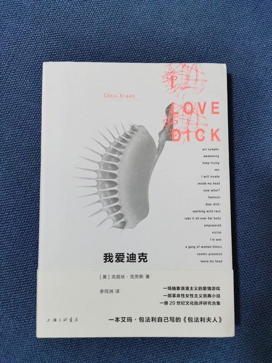 图书，名著，外国经典文学，我爱迪克，上海三...