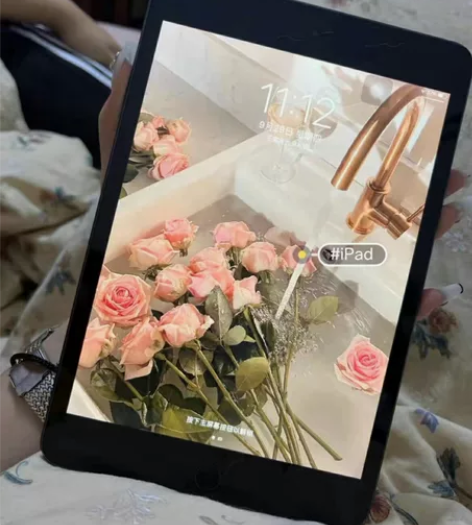 完美iPad  mini5  指纹灵敏  ...