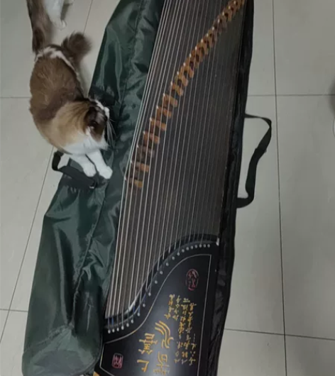 闲置古筝出售！品相自观！相中了私信！ 感兴...