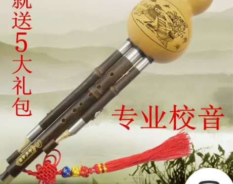 云南葫芦丝乐器初学包邮专业演奏葫芦丝C调降...