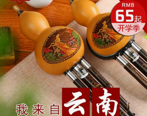 葫芦丝乐器初学者成人小学生自学入门零基础胡...