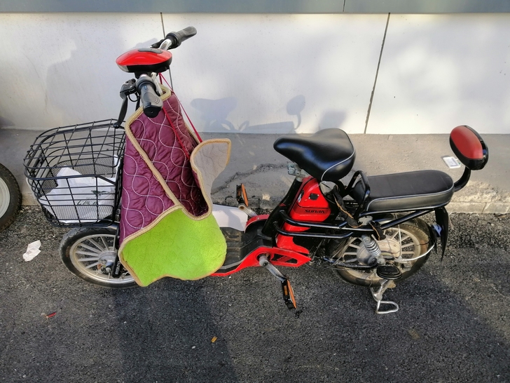 新日电动自行车，成色如图，锂电池，可以拎下...