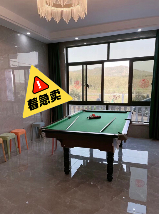 【全新球桌，低价急售】急售标准休闲娱乐成人...
