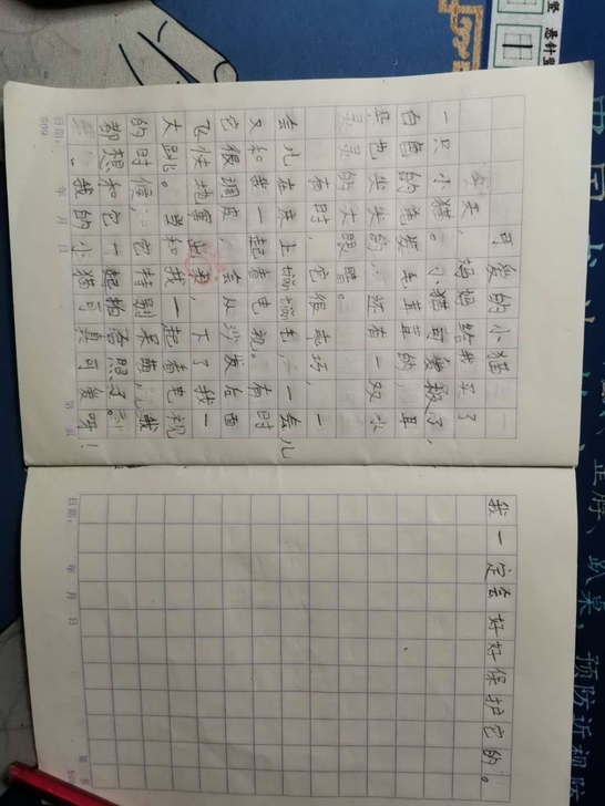寻求暑假教写字的老师，每天教，最好线下