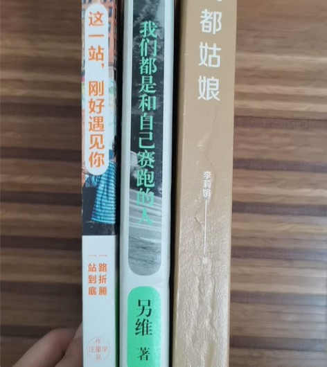 低价转卖文学励志书籍 12r一本不包邮，2...