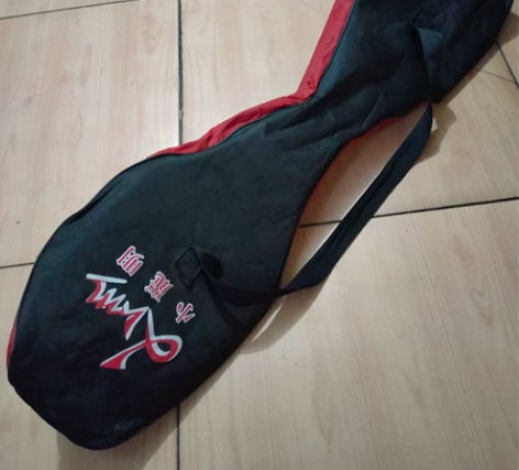 滑板 二轮蛇形 八成新，仅滑了几次就收好放...