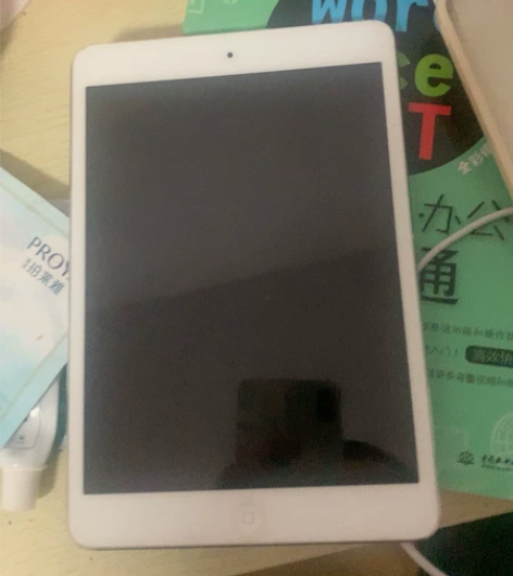 iPad mini板砖 有ID锁、别的没问...