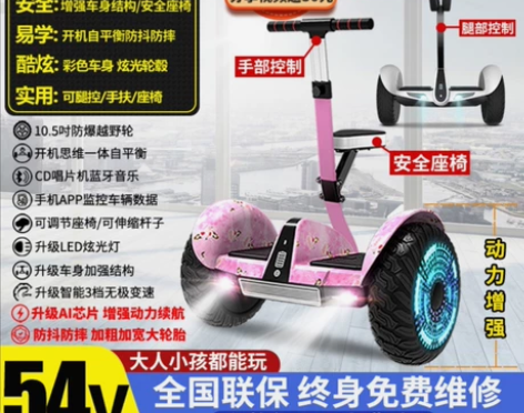 森旅平衡车，不到半价卖！朋友送的，我觉得玩...