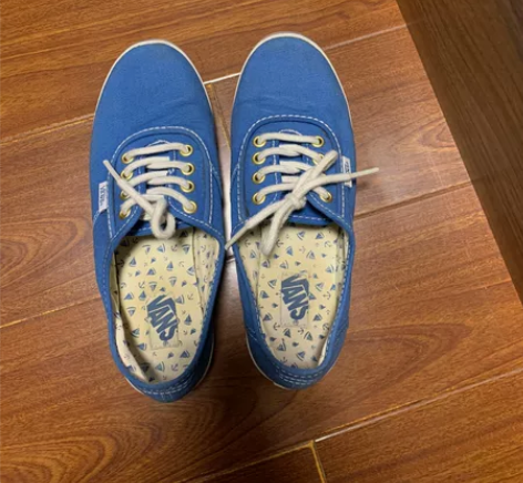 VANS帆布运动鞋，85成新，36码 感兴...