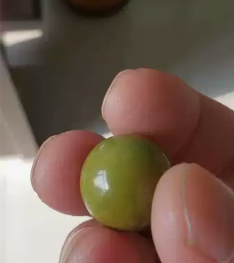 湖北原矿绿松石，精品高瓷军绿偏菜籽黄圆珠一...