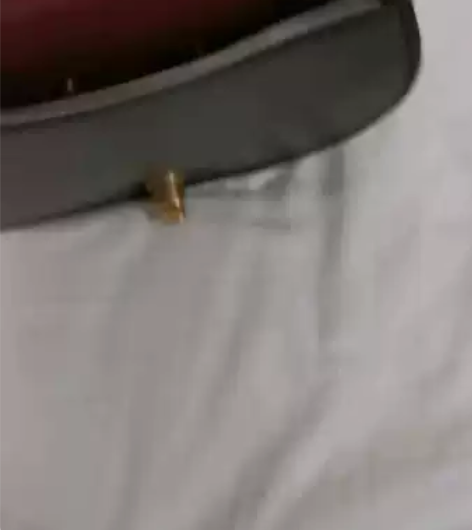 出一个9.9新的coach双面托特风琴包 ...