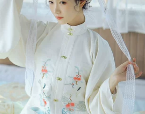 兰若庭汉服 望水云鹤 明制 立领 补服 暗...