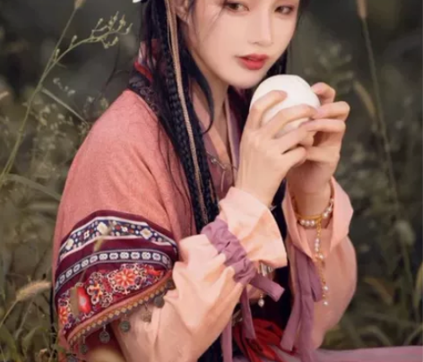 司南阁原创【念奴】汉服女款宋制半袖褶裙苗疆...