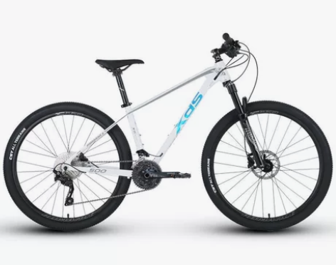 2100收喜德盛传奇500 白 一.要求1...