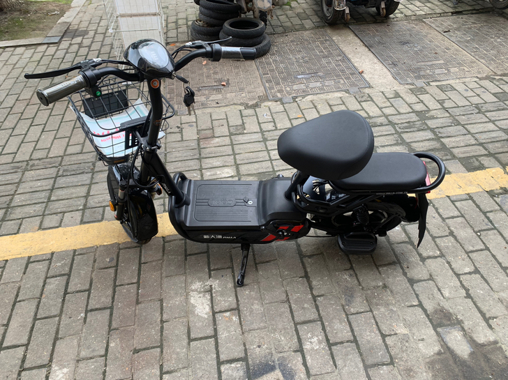 新日，新大洲国标电动自行车。特价1399一...