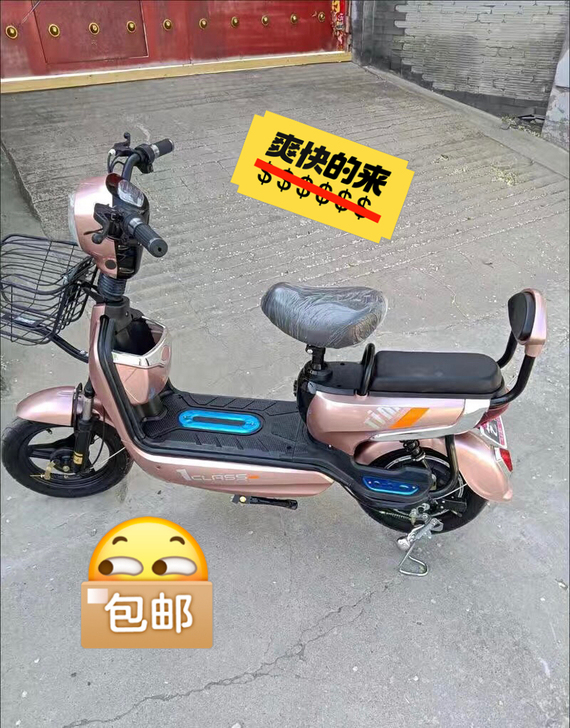全新新国标电动自行车成人电瓶车电动车小型锂...