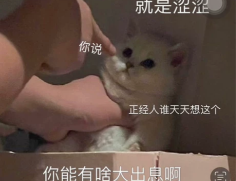 Java代做，项目可以根据自己的需求定制。...