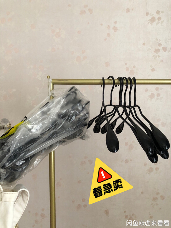 衣服架子30个，1块一个，自提优先，全拿送...