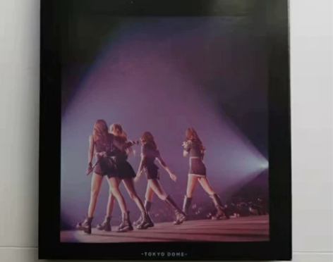 蓝光BLACKPINK 2019-2020...