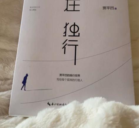 贾平凹最经典书籍之一 写给每个孤独的行路人...
