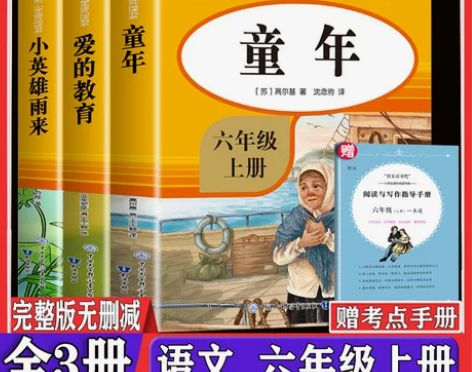 送考点正版爱的教育小英雄雨来童年书全套六年...
