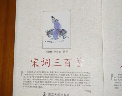 唐诗宋词三百首 12/本 20两本不包邮 ...