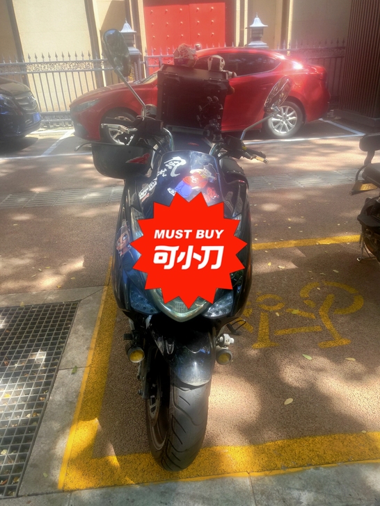 国产  立雅摩托车  150 自带USB ...