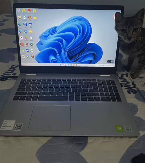 戴尔灵越i5-1035G1，8+1T内存，...