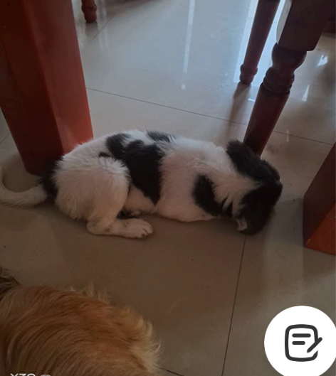 高中化学生物一对一在线辅导 价格美丽，帮孩...