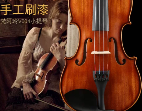 梵阿玲专业级小提琴。音色不错，适合初学者。...