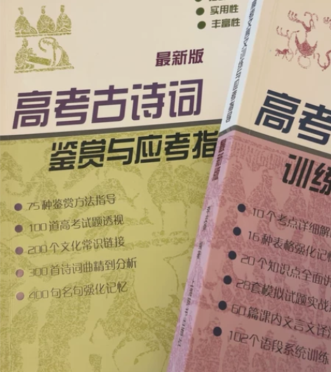 高考语文古诗词鉴赏与应考指导+高考文言文训...