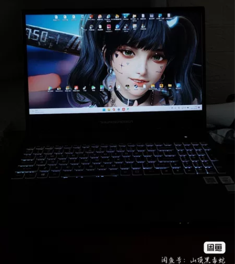 自己用的笔记本电脑十代i7 1650显卡，...