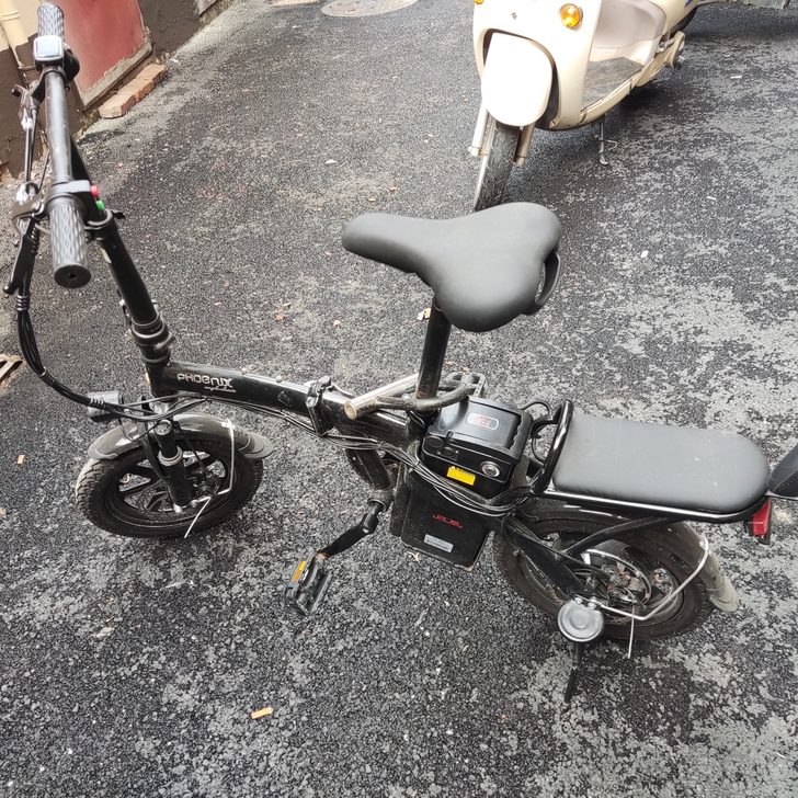 凤凰电动车 助力车