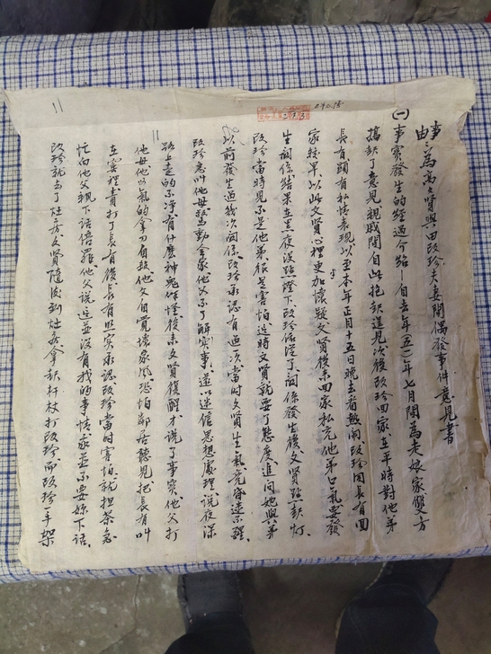 解放初调查书，一通四页，送呈法院的，字写的...