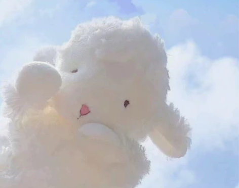 上海曹杨二中附属江桥实验中学,春秋装校服,...