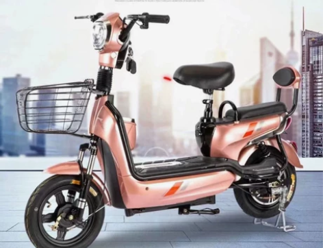 新款电动车厂家直销成人两轮两人大型助力双人...