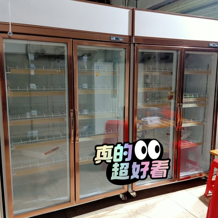 双胞胎九成新原装天翔双门,只用几个月