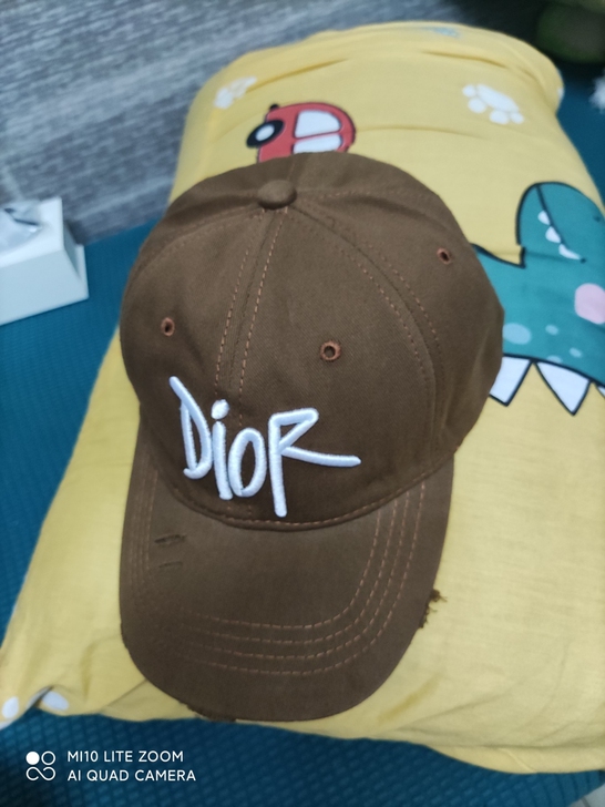 破洞棒球帽Dior棕色全新