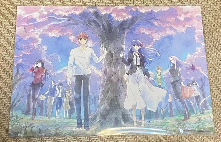 Fate  HF 天之杯入场特典包邮可直拍...