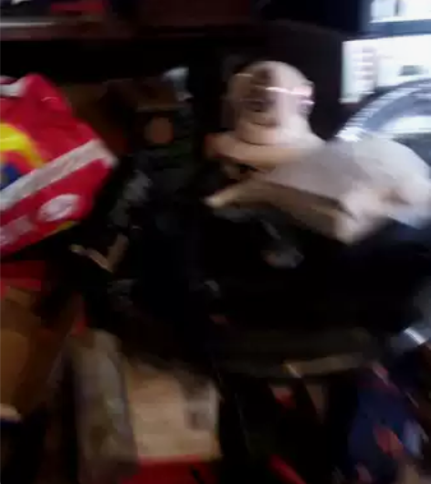 二手老物品，老电影机，老唱片几，老落地钟，...