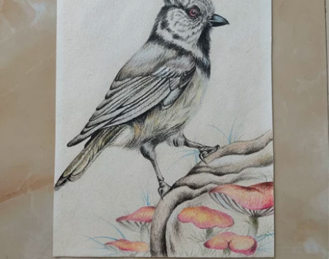 彩铅画，纯手工绘画，用的彩铅画纸，辉柏嘉彩...