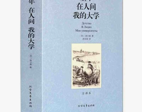 童年在人间我的大学 巴黎圣母院 飘 悲...