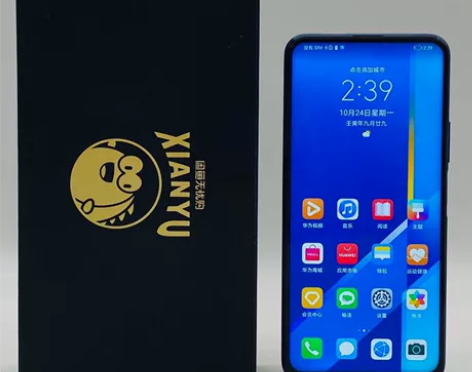 95新honor/荣耀 X10(5G) ...