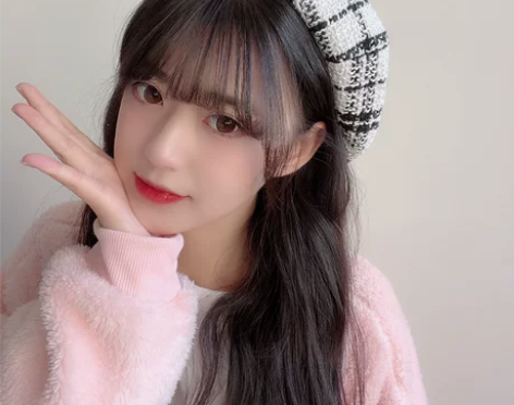 韩版帽子女日系复古格子贝雷帽春秋网红透气画...