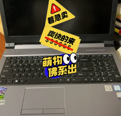 自用笔记本 雷神 911 SE 钢版 仅限...