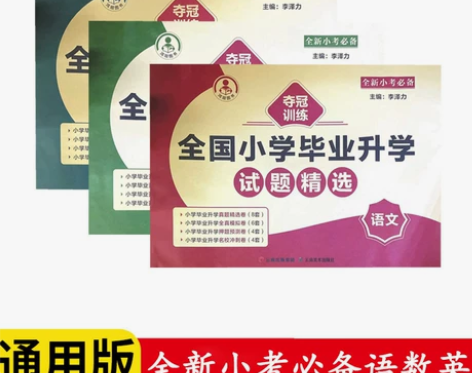 2022 小升初 全国小学毕业升学试题精选...