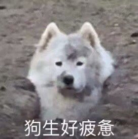 伊拉克裸机k啊2