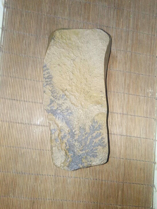镇纸,带水草纹化石镇纸,喜欢天然的拍,尺寸...